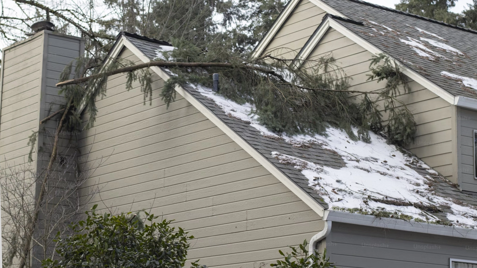 Image Hail Damage Repair