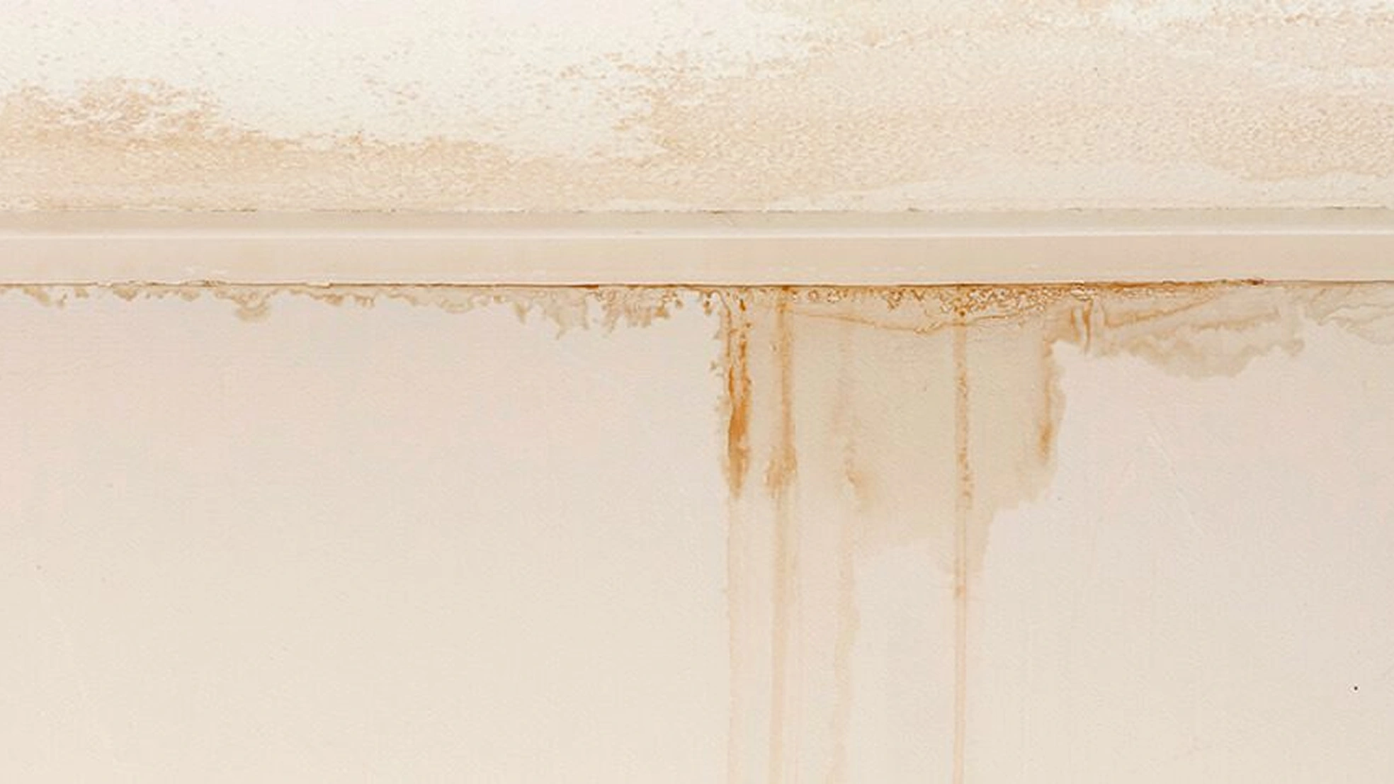 Image Roof Leak Repair